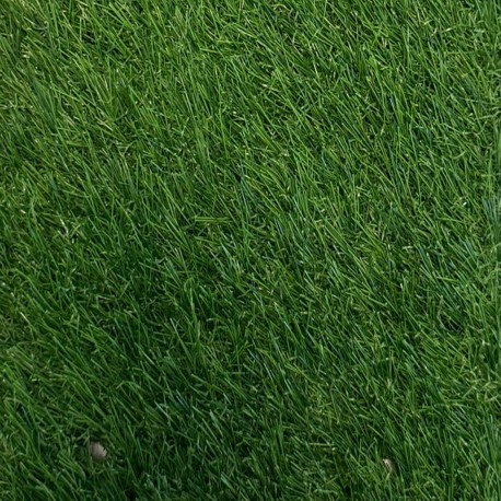 30 mm Çağla Green Çim Halı