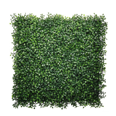 Boxwood Çim Duvar 50×50 Panel | Şimşir Görünümlü Yeşil Duvar