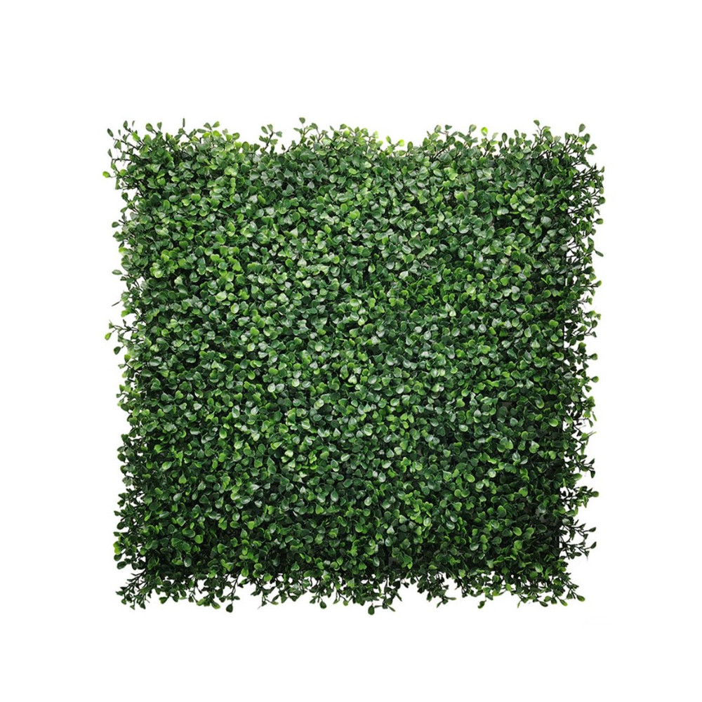 Boxwood Çim Duvar 50×50 Panel | Şimşir Görünümlü Yeşil Duvar
