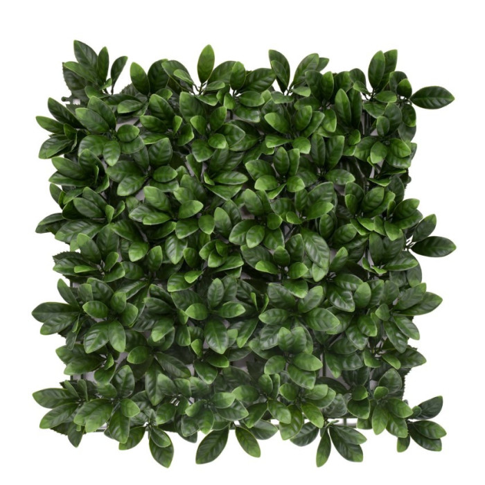 Yeşil Bougainvillea Çim Duvar 50×50 Panel | Doğal Yeşil Duvar