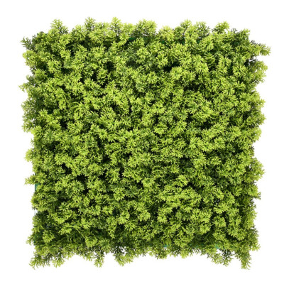 Houttuynia Cordata Çim Duvar 50×50 Panel | Ferah Yeşil Duvar