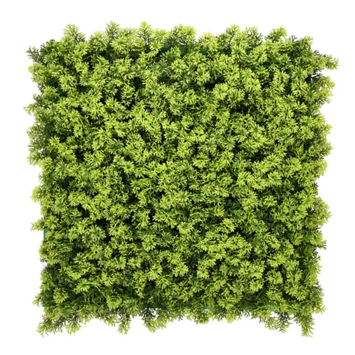Houttuynia Cordata Çim Duvar 50×50 Panel | Ferah Yeşil Duvar