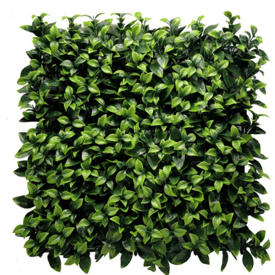 Gardenia Çim Duvar 50×50 Panel | Doğal Görünümlü Yeşil Duvar